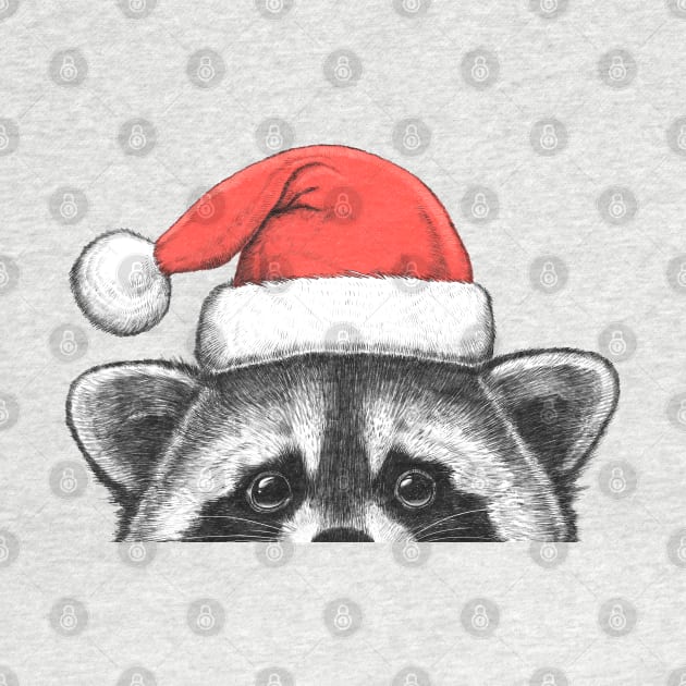Raccoon in a Santa hat by NikKor
